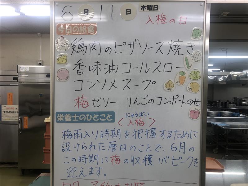 6月11日 (2)